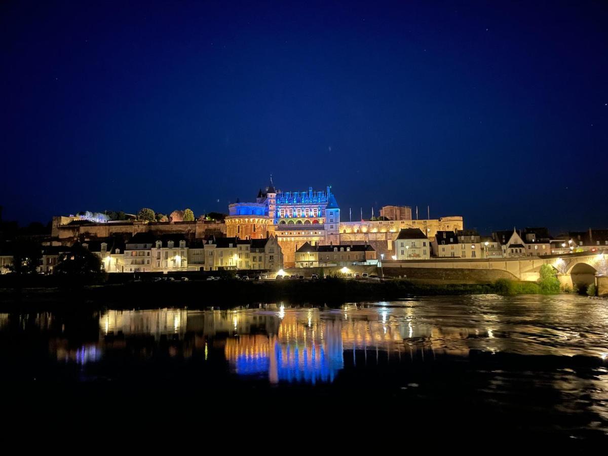 Amboise - L'Ecrin De Leonard Villa Luaran gambar